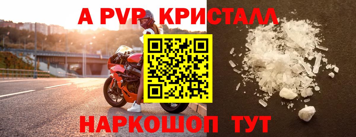 A PVP СК Советская Гавань